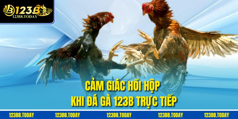 Cảm giác hồi hộp khi Đá gà 123b trực tiếp