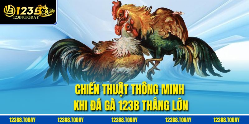 Chiến thuật thông minh khi Đá gà 123b thắng lớn